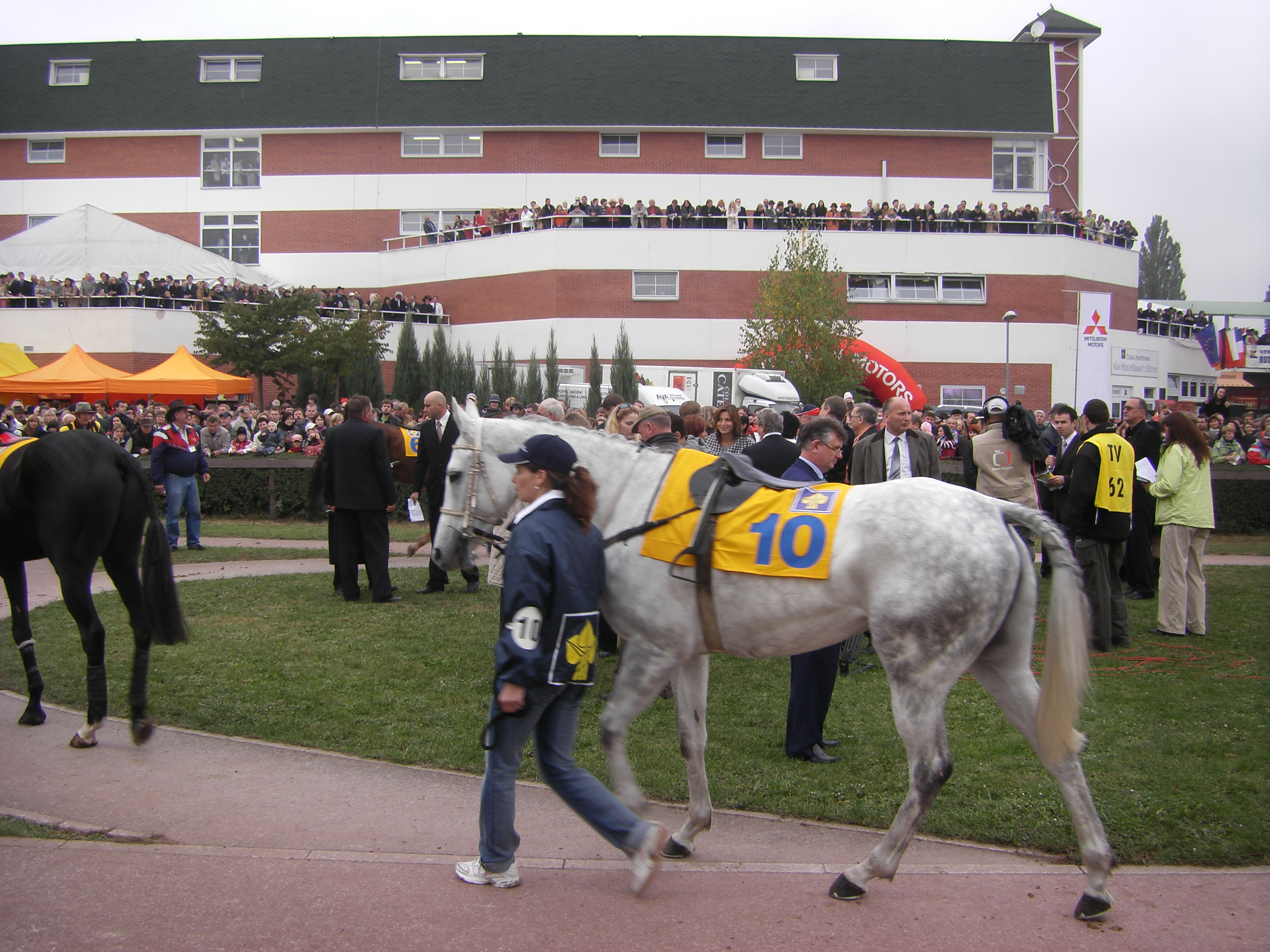 denisa 088.JPG